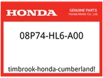 Honda Oem Part 08P74-HL6-A00 Kit, Nerf Bar. Fixed Price $466.95.