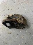 Kawasaki Prairie 400 4X4 01 Skid Plate Brake Rear 55020-1685 52539. Fixed Price $13.49.