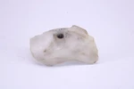 06 Yamaha YZ450F Frame Cover. Fixed Price $15.00.